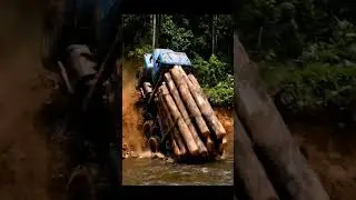 A Logging Truck's Wild Ride