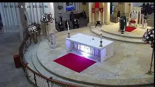 Transmisión Eucaristía Basílica de Lourdes   2026