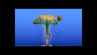 Jellyfish (glmark2-es2-wayland) sample - amdgpu (7600 XT) VS i915 (A380) VS Panfrost (Mali-G72)