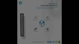 Mesh Cage Diamond Cut | Spinal Fusion Implant | Orthopedic Implant | Biomedortho