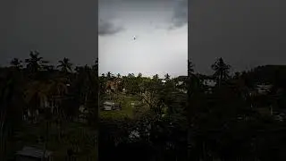 Молния и птица. #shorts #slowmotion #lightning #bird #tropical