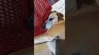 Ao som da m&uacute;sica 