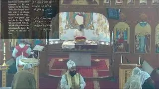 Wedding at Cana of Galilee - Holy Liturgy - 1/21/2026