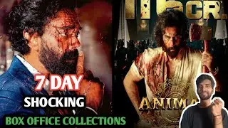 Animal Box Office Collection | Animal 7th Day Collection, Animal 8th Day Collection, Ranbir Kapoor