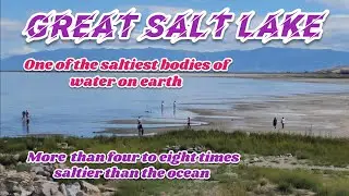 Where can we find the saltiest water on earth?