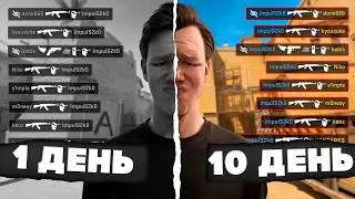 Бил по 1500 DM на протяжении 10 дней, и вот что со мной произошло...