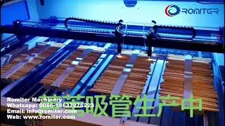 Automatic Reed Straw Accurate Length Laser Cutting Machine