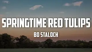 Bo Staloch - Springtime Red Tulips (Lyrics)