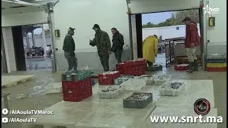 45  دقيقة - التجارة الكبرى تحت المراقبة