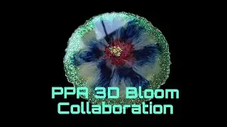 3D Bloom Collaboration