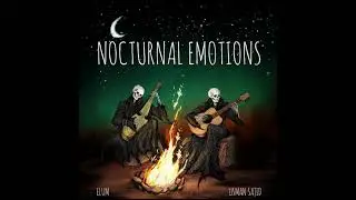 Rabab & Guitar | Nocturnal Emotions | Fusion | Official Audio