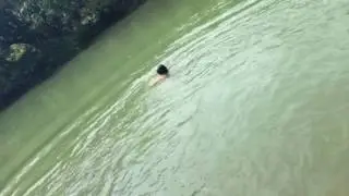 Drunk Dumbass Brian mutherfuckin Ballard