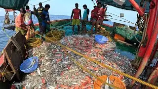 Deep Sea Fishing Videos | Giant Trevally Fish Caught Using Live Fish | Kadal TV