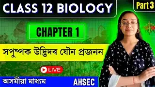 Class 12 Biology in Assamese Medium |Sexual Reproduction in Flowering Plants|Let's Approach| Part 03