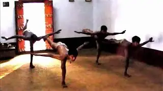 Vallabhatta Kalari Sangam 6 Animal Postures / Kalaripayattu കളരിപ്പയറ്റ് कलरीपायट्टु カラリパヤット