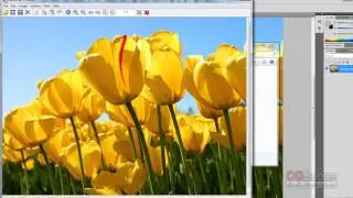 21 урок - Эксперт в Photoshop за 30 дней