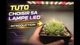 Tuto: Choisir sa lampe LED horticole - notions de base