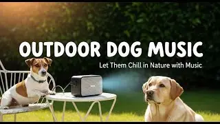 This Track Saved My Sleep Schedule | Nighttime Dog Music to Calm Puppies
