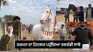 ਜਰਮਨ ਦਾ ਹਿਟਲਰ ਪਹੁੰਚਿਆ ਤਲਵੰਡੀ ਸਾਬੋ,ਦੇਖਣ ਨੂੰ ਲੱਗੀ ਲੋਕਾਂ ਦੀ ਭੀੜ