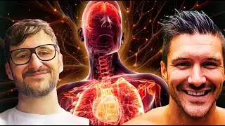 Inflammation is DESTROYING your body | Longevity lifestyle with Andrew Panella
