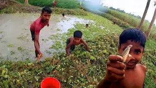 Amazing Asian Village Life Traditional Village Fishing Catch Fish From Ponds Rural Village Fishing