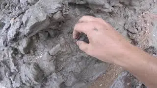 [Fouille Fossile] - Les Falaises des Vaches Noires à Houlgate