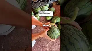 Stavo provando abiti da sposa quando il locale chiam&ograve; e disse: 