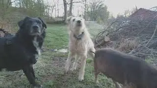 Remembering fun times with Happy Hopping Murray!