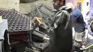Disgorgement