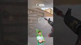 CS2 Pros Cheating??