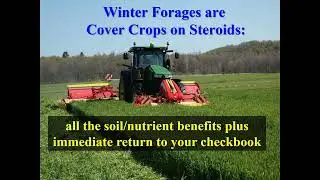Tom Kilcer On When To Harvest Winter Forage