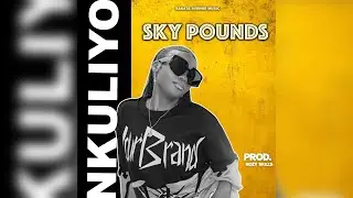 Sky Pounds - Nkuliyo Nkuroho [Official Audio] 2025