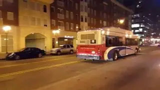 COTA Buses