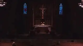 8:00 AM Celebration of the Holy Mass January 17, 2026