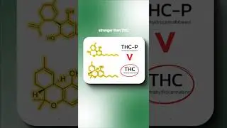 Что такое THCP? #thc #wellness #science