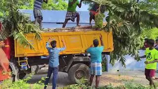 திருவிழாவிற்கு வாழைக்குலை வெட்ட போகும்போது உள்ளது 💥#kadambankulamayyamakkal 