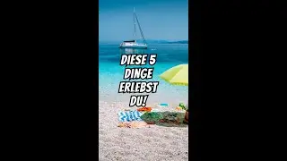 Diese 5 Dinge erlebst du. #motivation #shorts #discipline #dream #german #switzerland #fox #animals
