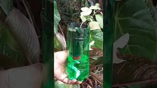 5 Surprising Ways To Upcycle Old Plastic Products #recycling #recyclereuse #bottlerecycling