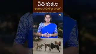 Supreme Court serious about the issue of stray dogs || RAVI REPORTS ||