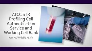 STR Cell Line Authentication :: Done in 3 Easy Steps