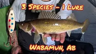 A relaxing day Ice Fishing at Wabamun Lake, Alberta. Pike, Perch, and Walleye!!!!