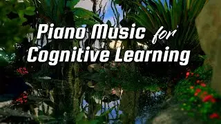 Piano Music to Clear Your Mind that Improves Cognitive Learning
