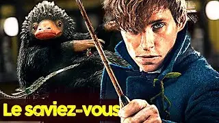 LES ANIMAUX FANTASTIQUES - 15 Trucs &agrave; Savoir !