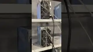 AvalonMiner 1066 50 TH/s Б/У