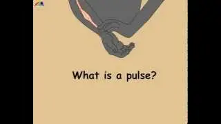 What is a Pulse?