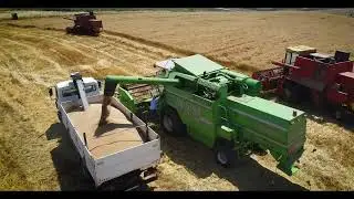 Wheat Harvest Hundreds of Hectars