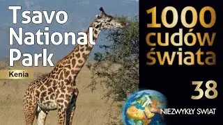 1000 cud&oacute;w świata - Tsavo National Park - Lektor PL