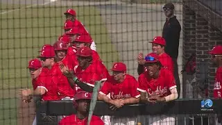 Hampton baseball advances to state playoffs for first time since 1990, Gloucester also advances