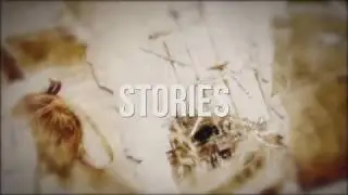 David Pliner - Short Short Tales Book Trailer