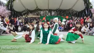 🎄ILLIT(아일릿)-“N☆T CUTE ANYMORE“Dance Cover by PICNICPOP(커버댄스)☃️